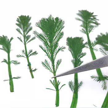 12pcs/8-10 cm,Naravna Pritisnete shousong Pine Leaf,Obarvane v Zeleno rastlin Zaznamki Materiala DIY Kartico Cvet Slike Dodatki