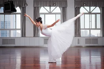 2020 novih strokovnih balet Swan Lake tutu tančico kostum za odrasle balet krilo Puff Bela Klasični Balet Krilo Obleko Balet Kostum