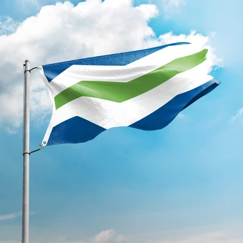 Burlington Vermont Zastavo 3*5 M 90*150 CM državah ZDA Mesta z Zastavami Ameriki po Meri Dekor Transparenti Poliester UV Odpornost Dvojni Šiv