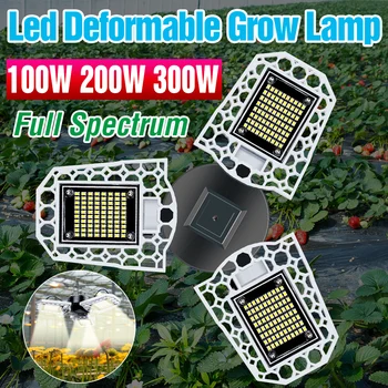 E27 LED Grow Light Plošča Celoten Spekter 220V E26 LED Hydroponic Rast Rastlin, Sijalko 100W 200W 300W Semena Rastlin, Cvetja, Žarnice za Razsvetljavo