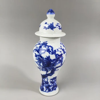 Lepe Kitajski Klasična Zbirka Domov Dekoracijo Modre in Bele Porcelanaste Cvet in Ptica s Pokrovom Lončena Jar / Pot