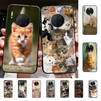 Mačke Primeru Telefon za Huawei Mate 20 10 9 40 30 pro lite X Nova 2 3i 7se