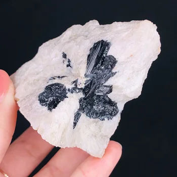Naravni Črni Turmalin Kristalov Mineralnih Grobo Vzorcu Rock Kamni Redkih Original