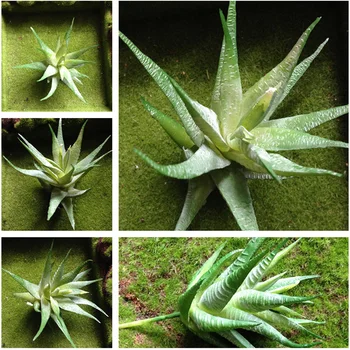 NuoNuoWell Umetno Travo Mini Strip Aloe Plastičnih Succulents Rastlin (Sklop 3)