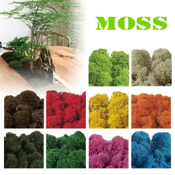 Simulacija Moss Stabilno Moss Rastlinskih Slikarstvo Diorama Božičnih jaslic Streljanje Rekviziti umetno moss dekoracijo sten