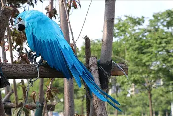 ustvarjalno novo simulacija blue parrot model polietilen & krzno, krzneni izdelki ptica darilo približno 50 cm 0582