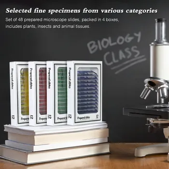 48pcs/set Plastičnih Pripravljeni Mikroskopom Strani Živali, Žuželk, Rastlin Vzorec Osebkov Strani Nastavite z Barvo Nalepke za Otroke