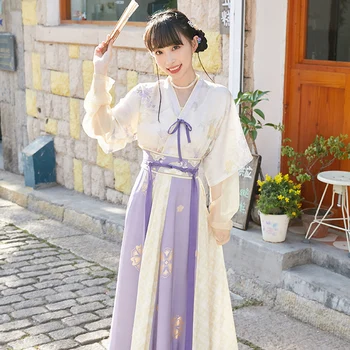 Nova Izboljšana Ženski Hanfu Starodavni Kitajski Tradicionalni Klasični Ples, Oblačila Han Dinastije Tang Stopnji Uspešnosti Obleko DQL5744